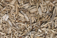 biomass boilers Ningwood
